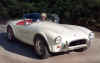 65 289 Cobra